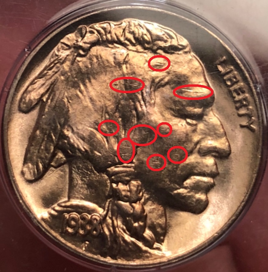 1938-D-Buffalo-Nickel-[you-Vs.-PCGS]